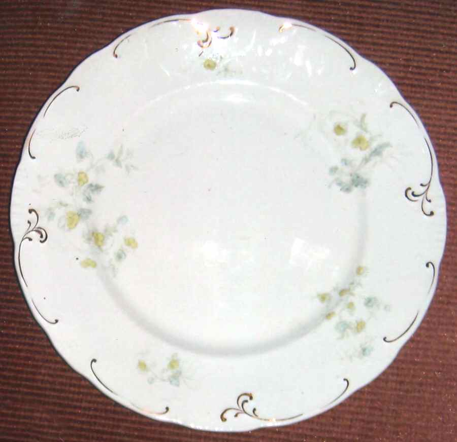 Torquay Dinner Plate by Alfred Meakin-1