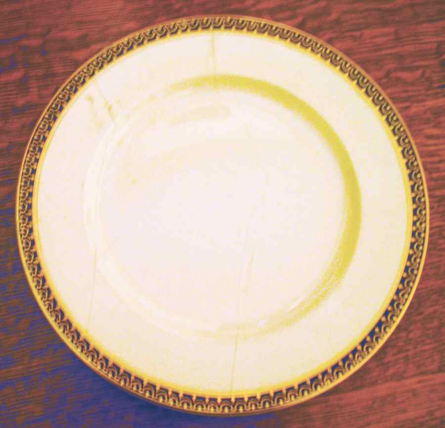 MEA263 Dinner Plate by Alfred Meakin-1