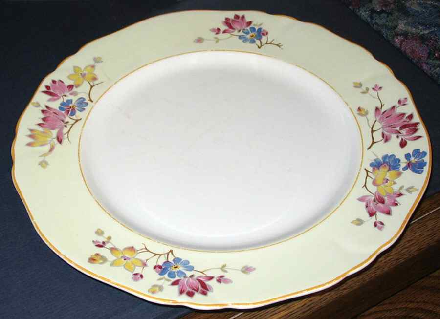 MEA265 Dinner Plate by Alfred Meakin-1