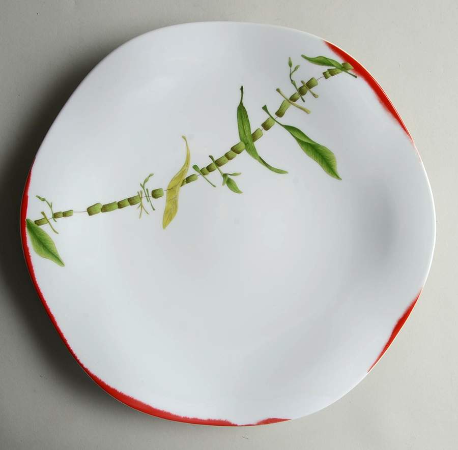 Fidji Service Plate (Charger) by Medard de Noblat-1