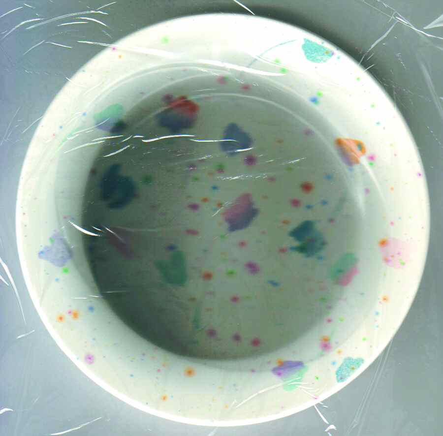 MDW44 Bread & Butter Plate by W R Midwinter Ltd-1