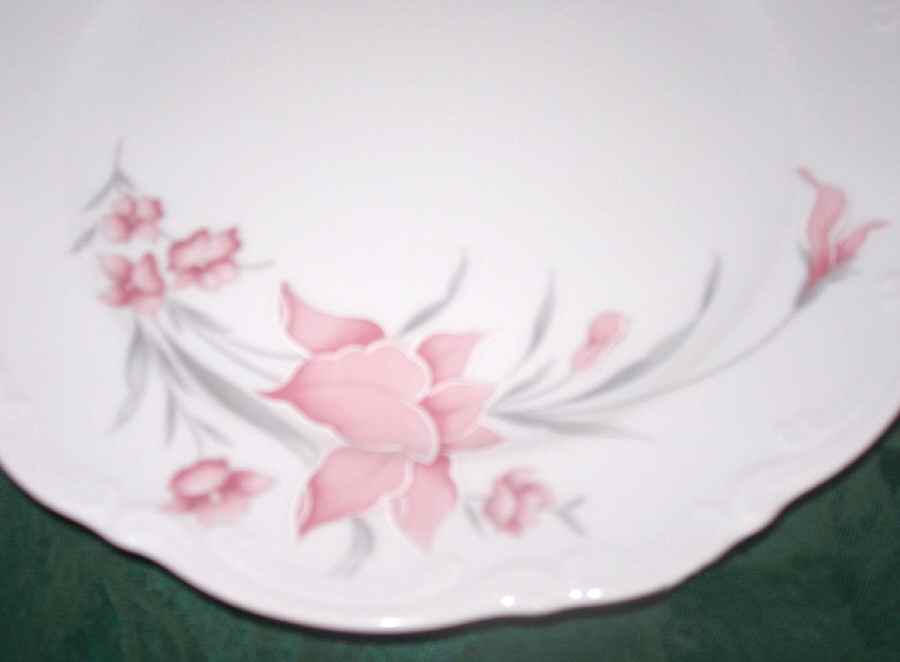 MIT229 Dinner Plate by Mitterteich-1