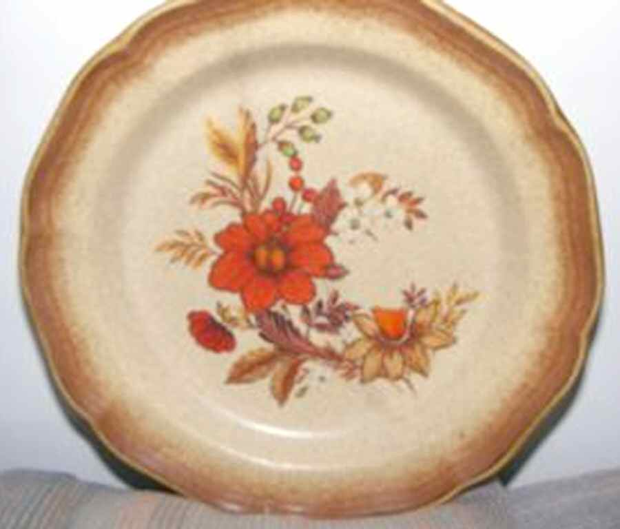 Autumn Glory Dinner Plate by Mikasa-1