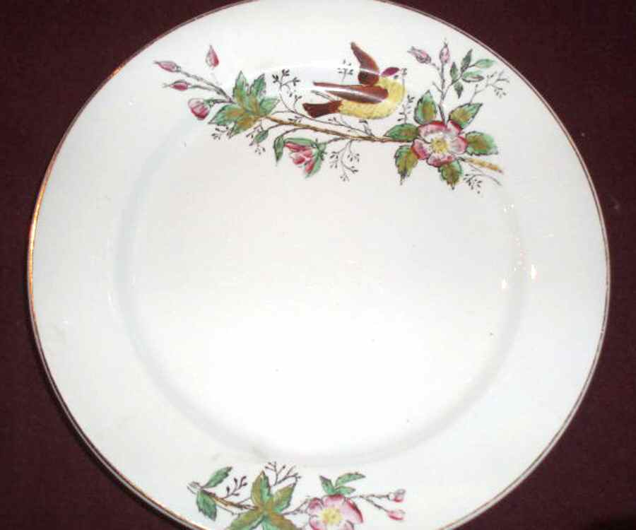 MEA269 Dinner Plate by Alfred Meakin-1