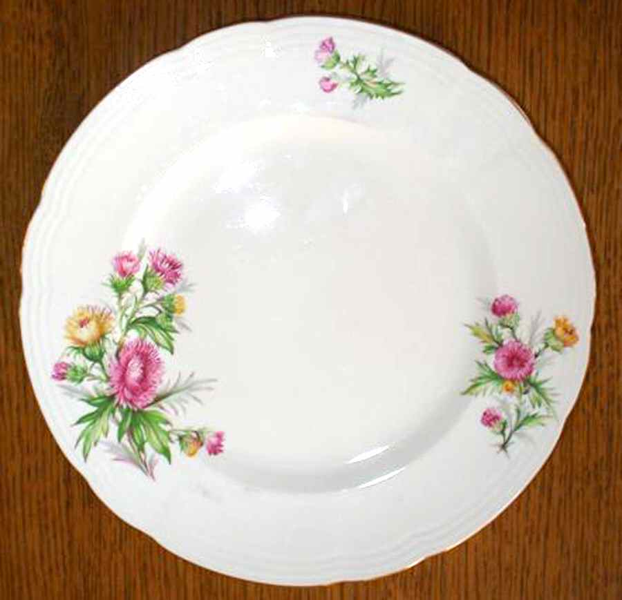 Thistle Dinner Plate by Alfred Meakin-1
