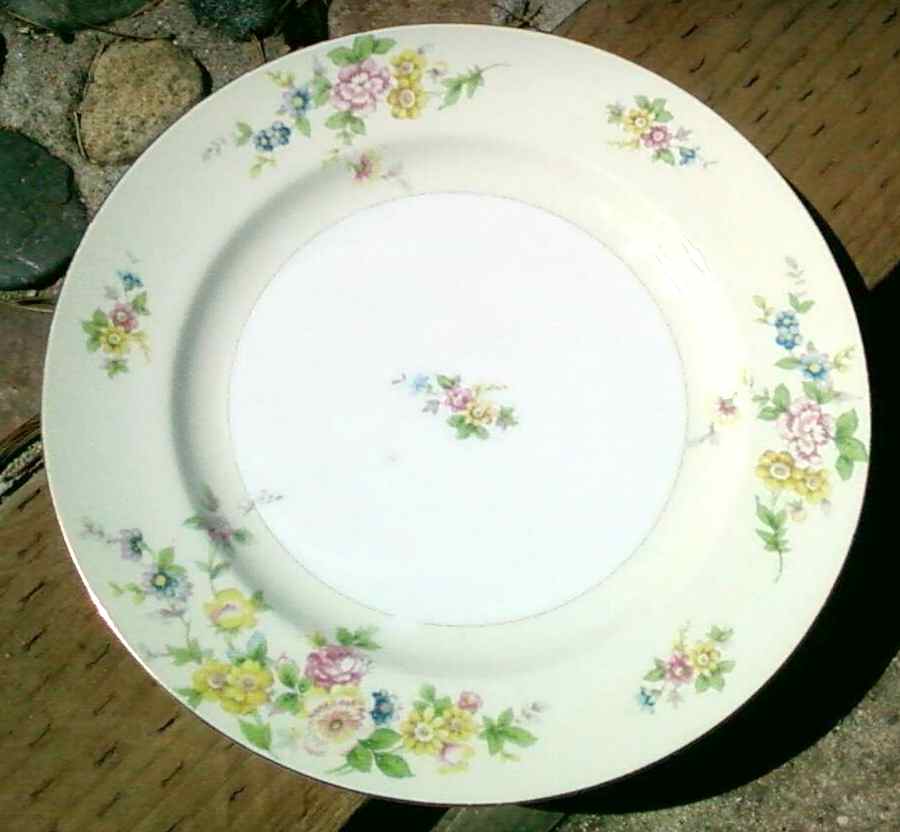 M1B1 Dinner Plate by Minco (Japan)-1