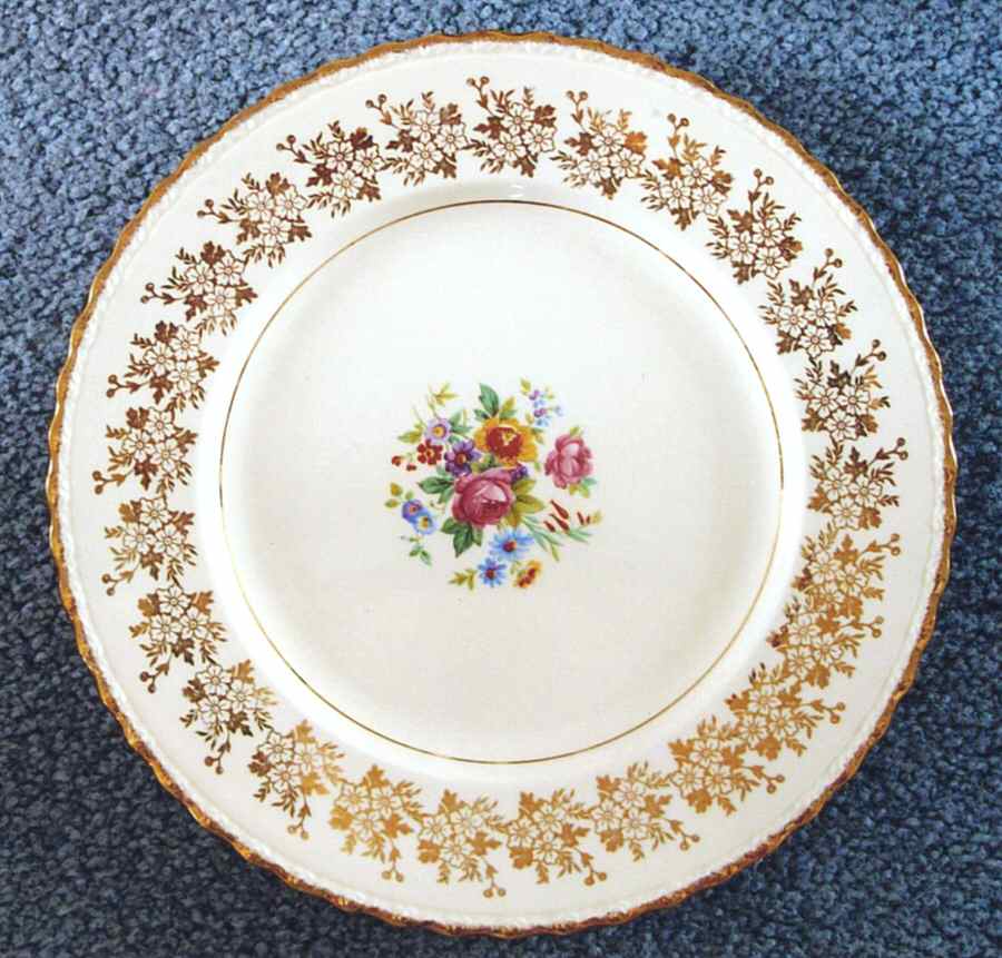 M449lg Dinner Plate by Myott Staffordshire-1