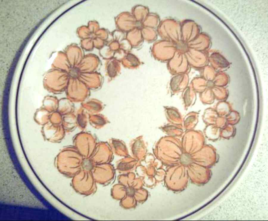 Summerdale Dinner Plate by Myott Staffordshire-1