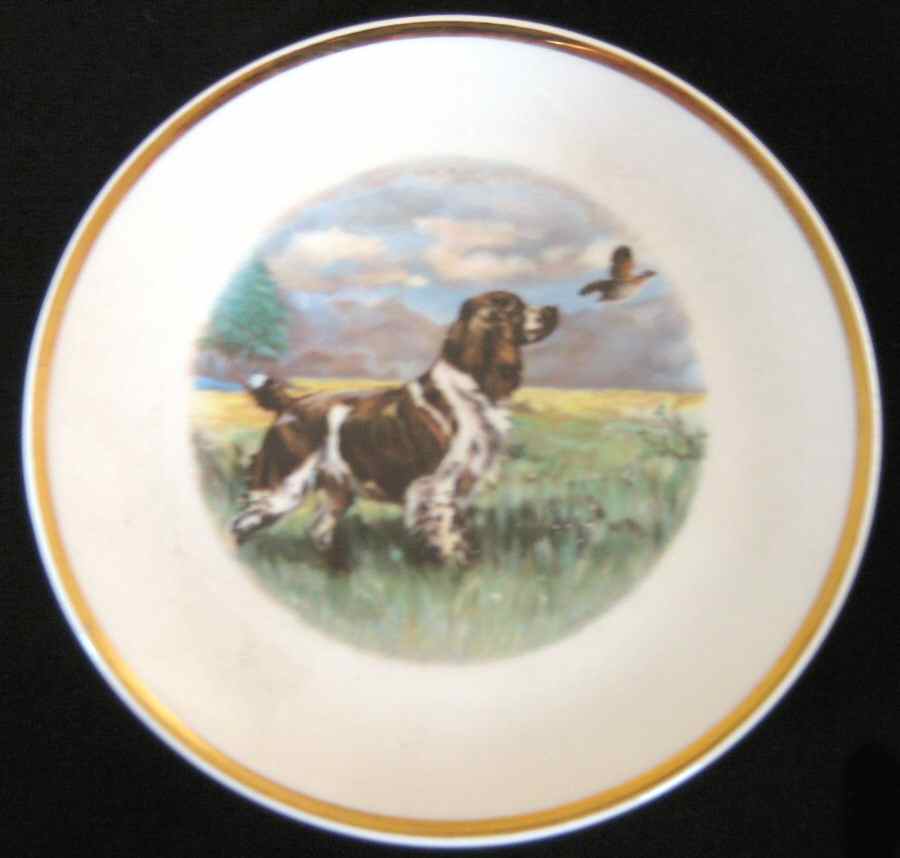 MYO125 Coaster by Myott Staffordshire-1