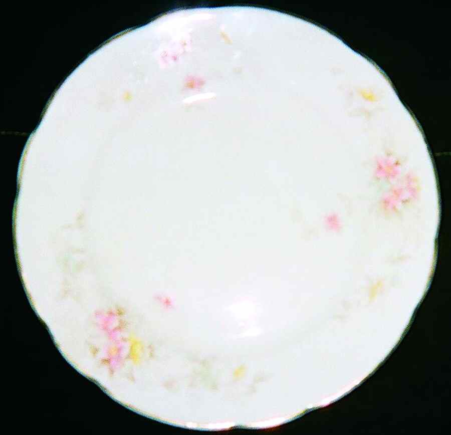 MAD205 Dinner Plate by John Maddock & Sons-1