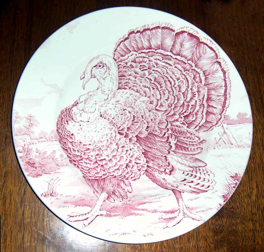 Turkey Pink Dinner Plate by W R Midwinter Ltd-1
