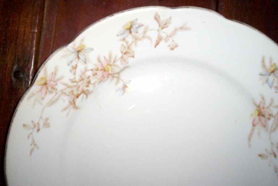 MAD207 Dinner Plate by John Maddock & Sons-1