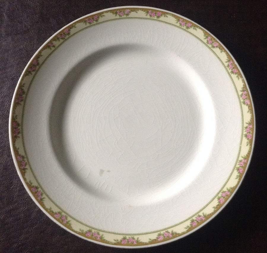 1069-X Dinner Plate by Myott Staffordshire-1