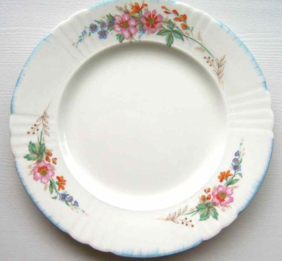 6643 Dinner Plate by Myott Staffordshire-1