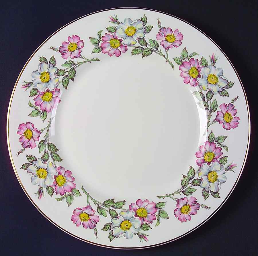 Prairie Rose Dinner Plate by Myott Staffordshire-1