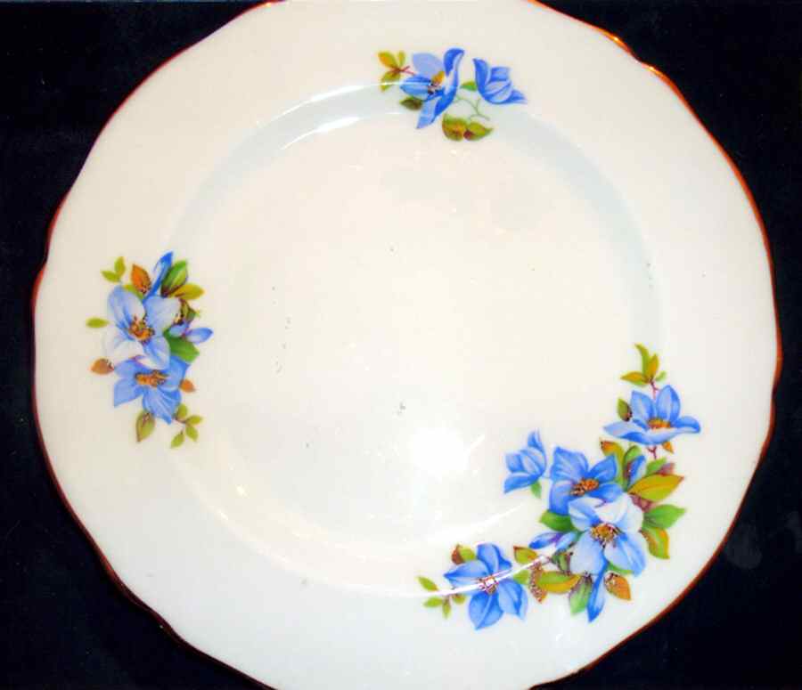 MAL2 Salad Plate by Marlborough-1