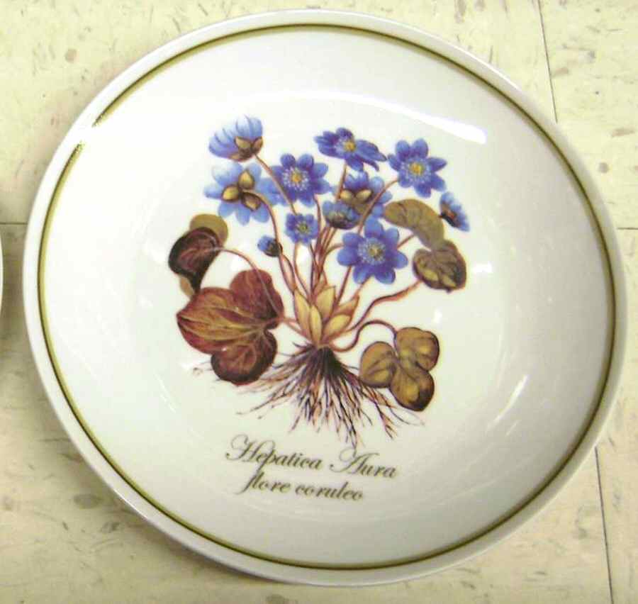 M3S9 Salad/Dessert Plate by M Studios-1