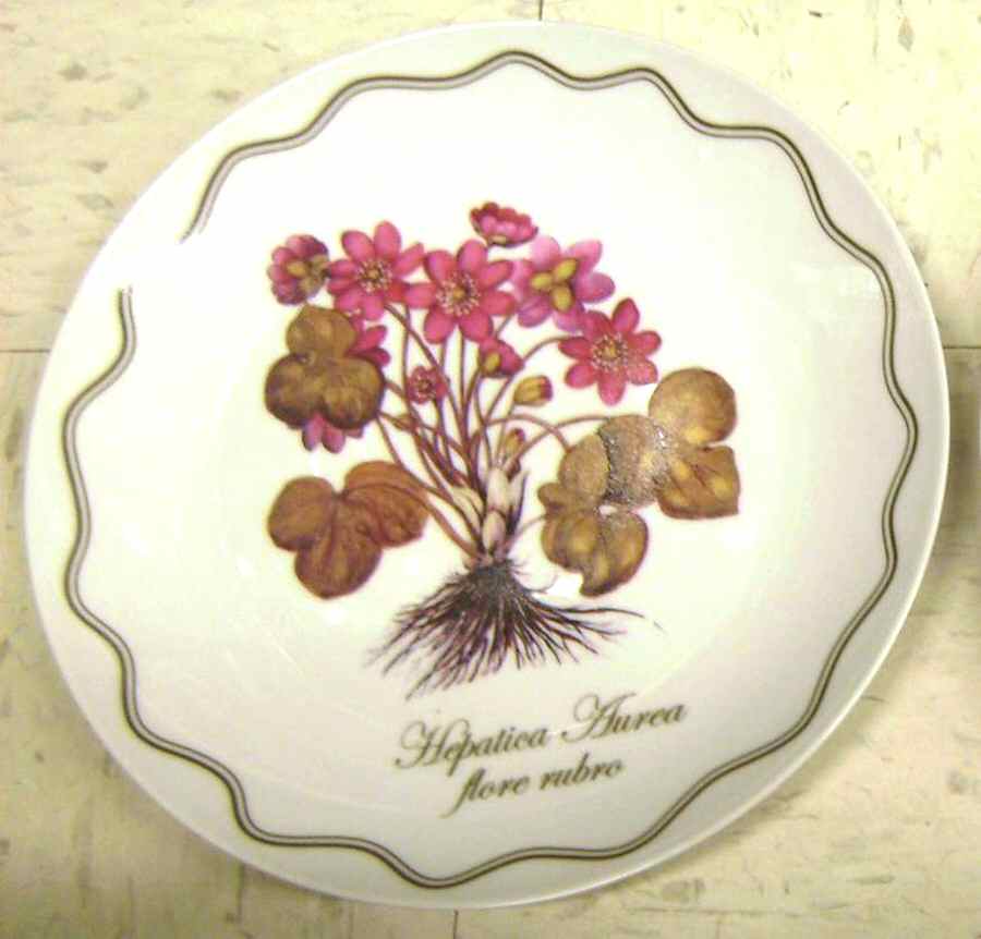 M3S9 Salad/Dessert Plate by M Studios-1