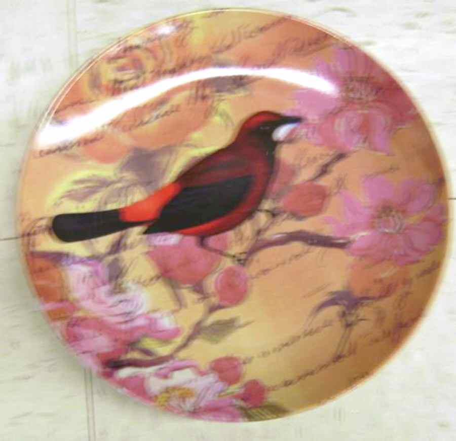 M3S11 Salad/Dessert Plate by M Studios-1