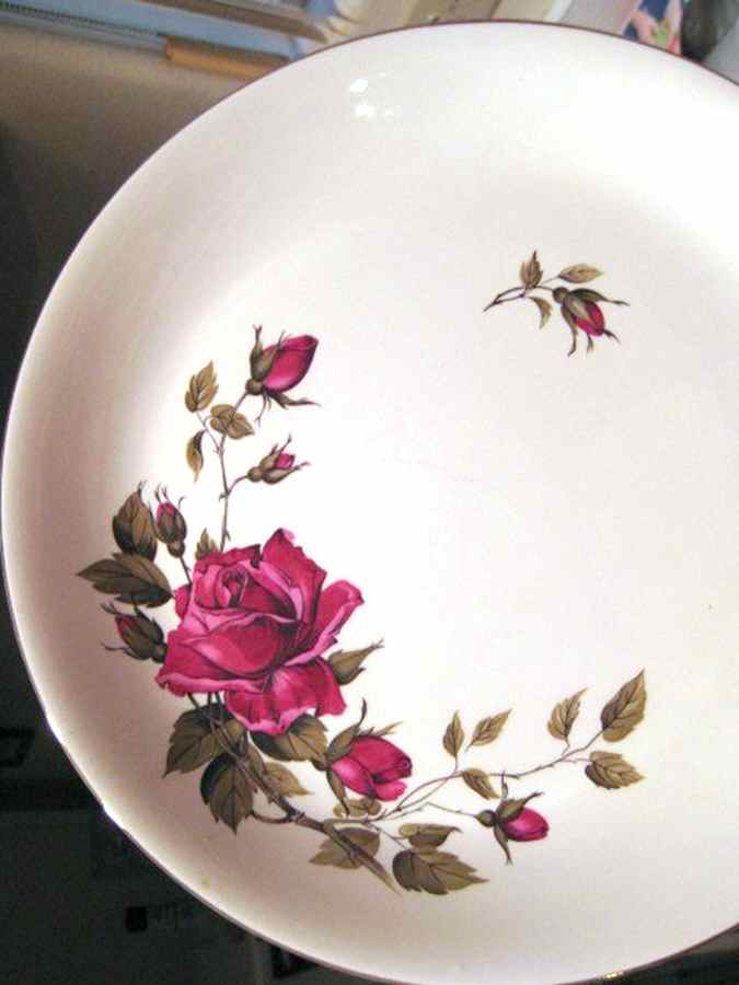 Velvet Rose Dinner Plate by Alfred Meakin-1