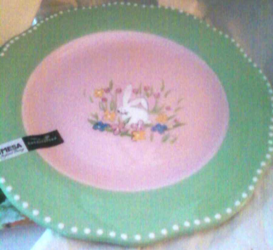 MSA47 Salad Plate by Mesa Intl-1