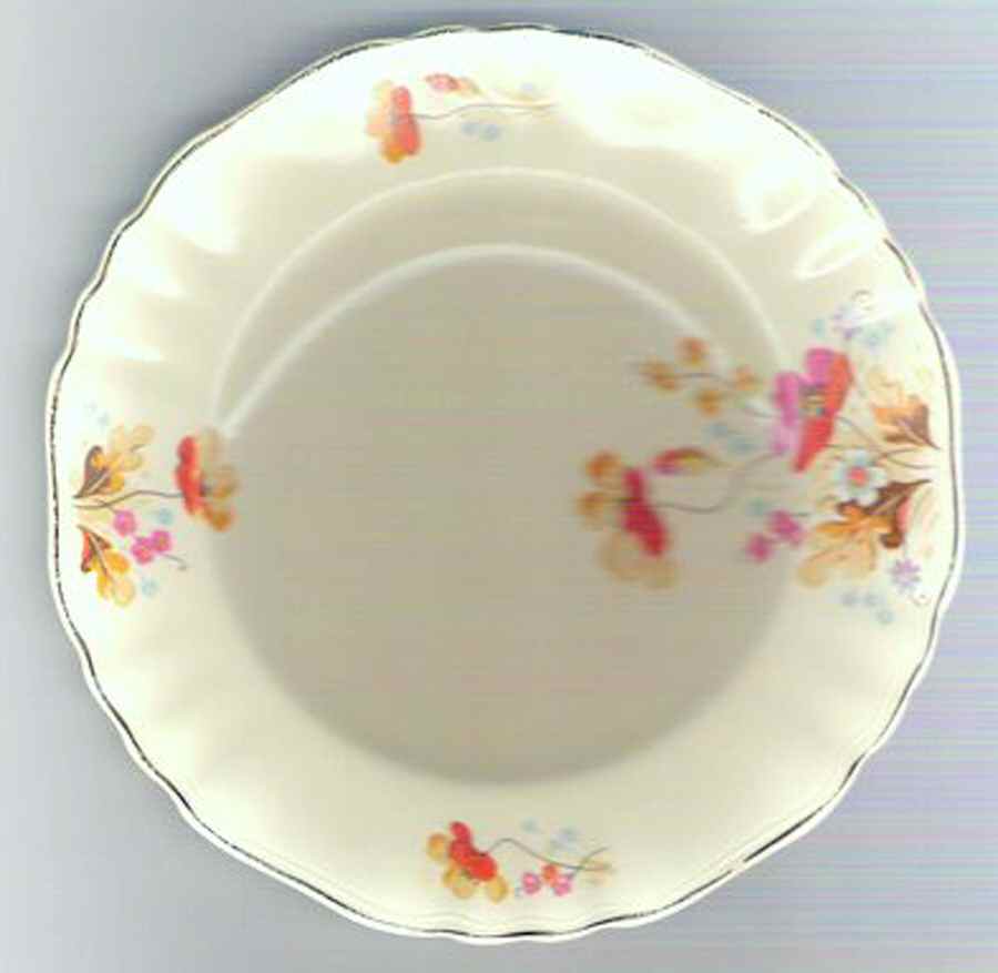 MEK284 Dinner Plate by J & G Meakin-1