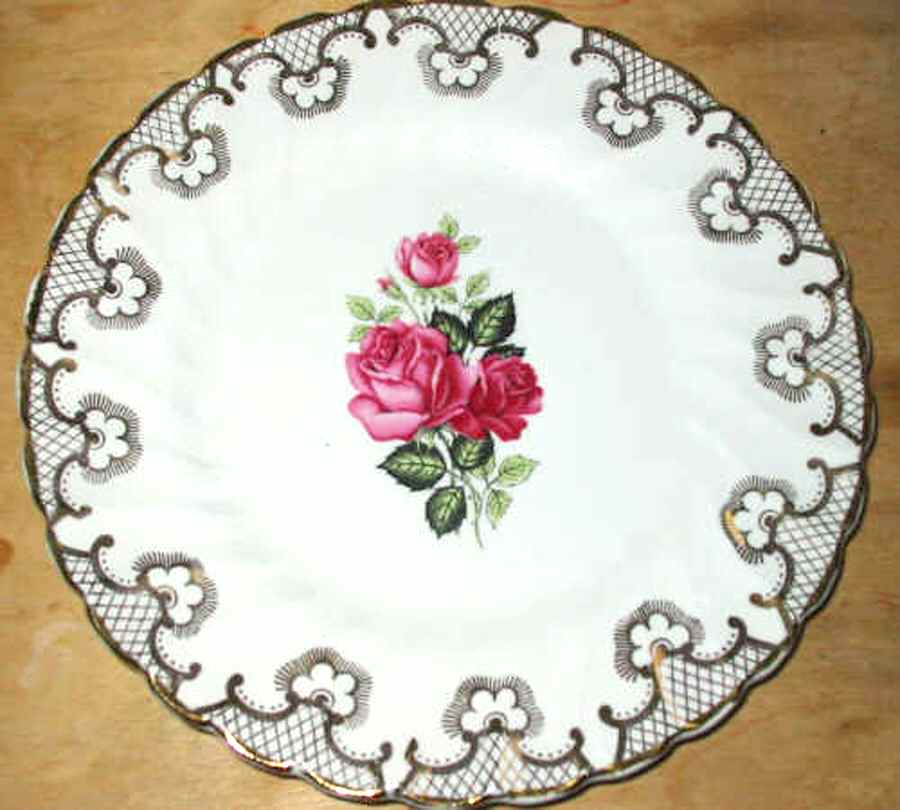 MYO128 Dinner Plate by Myott Staffordshire-1