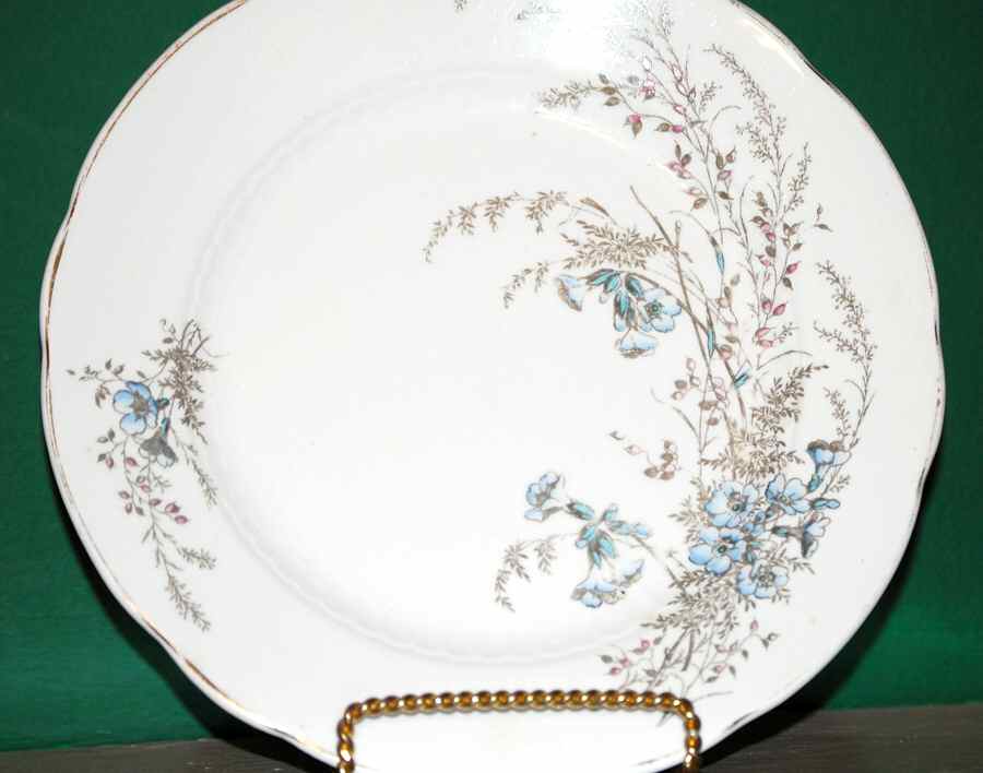 MAD216 Dinner Plate by John Maddock & Sons-1