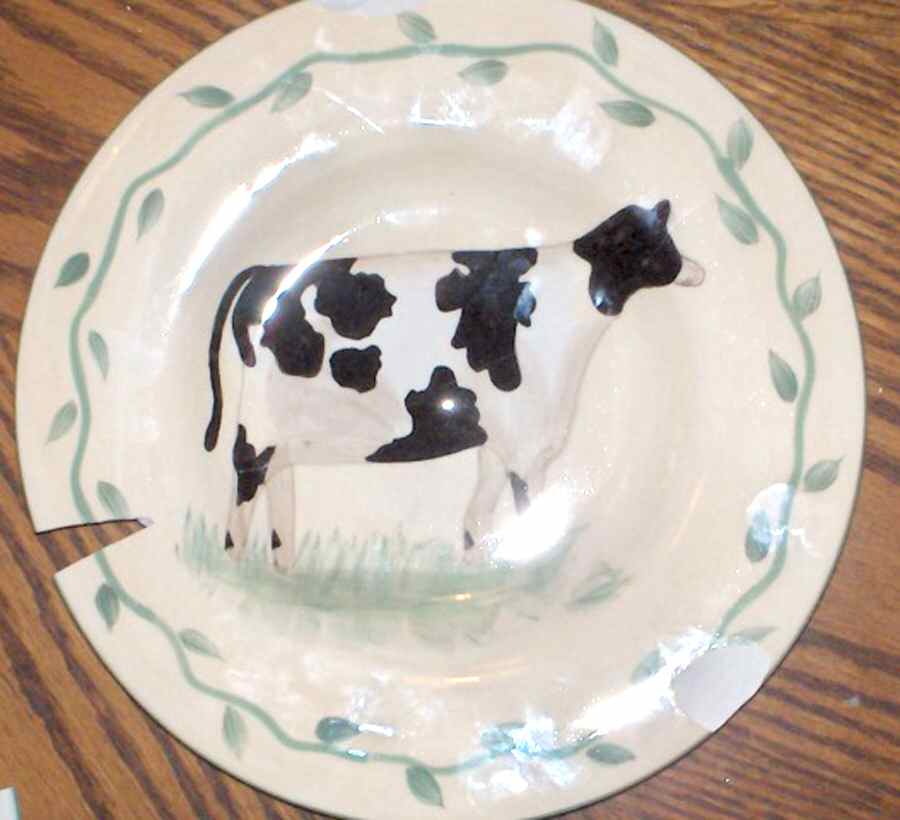 MSA51 Dinner Plate by Mesa Intl-1
