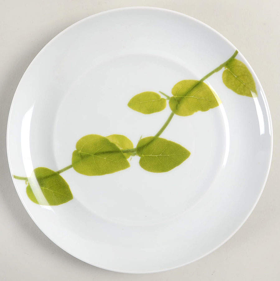 Daylight Salad Plate by Mikasa-1
