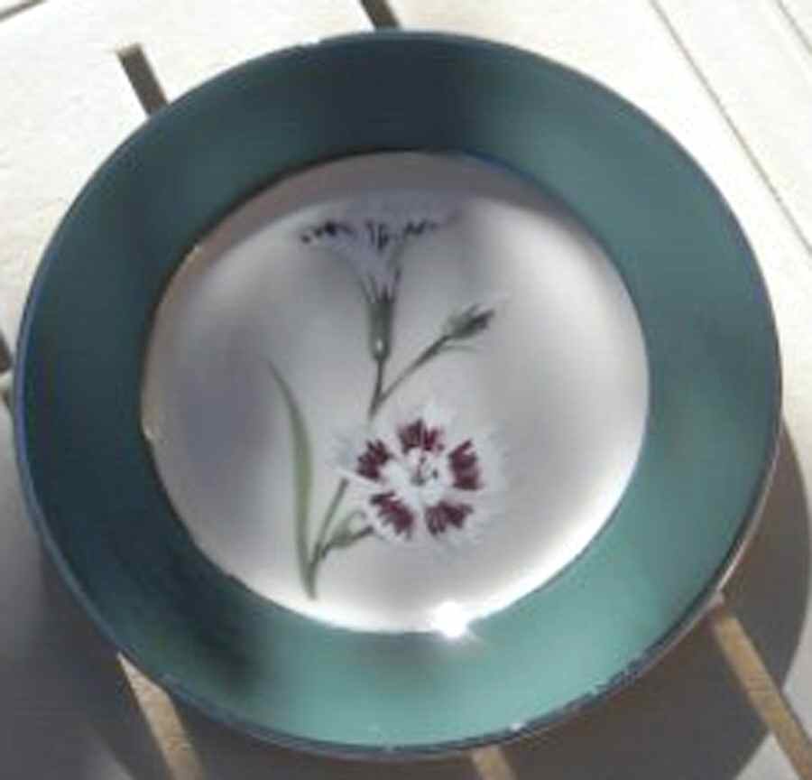 MAG1 Dinner Plate by Magna-1