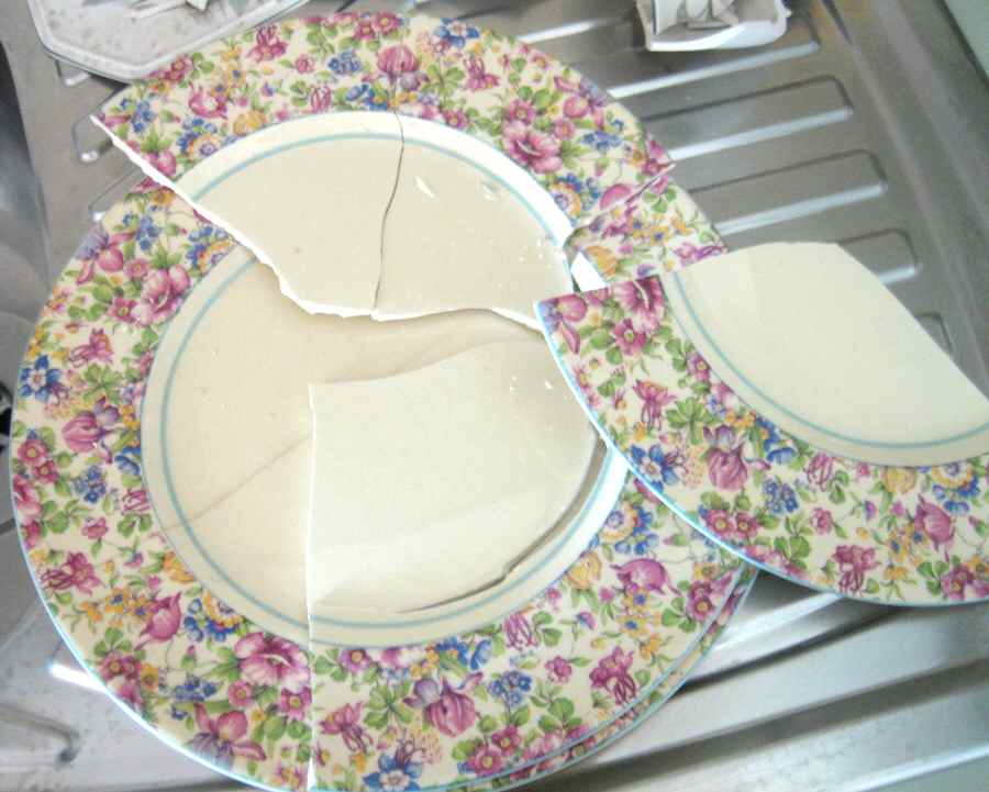 MYO137 Dinner Plate by Myott Staffordshire-1