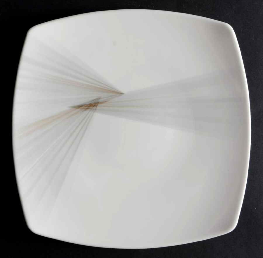 Optic Dinner Plate by Mikasa-1