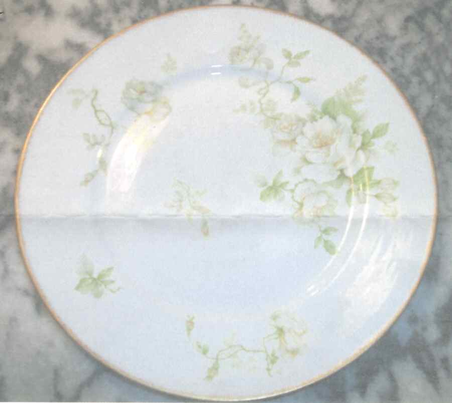 MFC27 Dinner Plate by M F & Co (Marshall Fields)-1