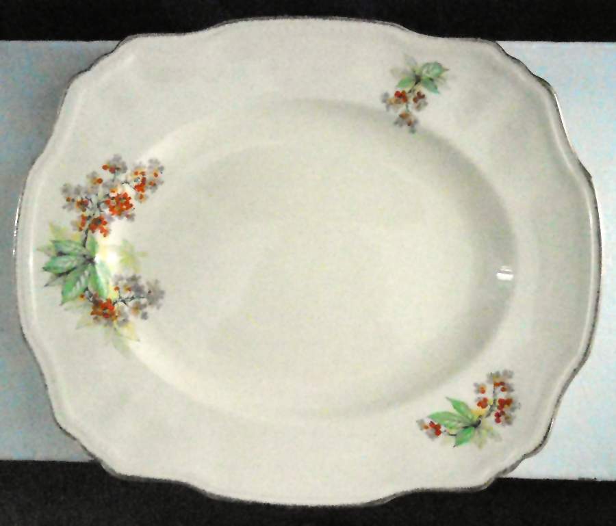 Churtsea 18" Oval Serving Platter by Alfred Meakin-1