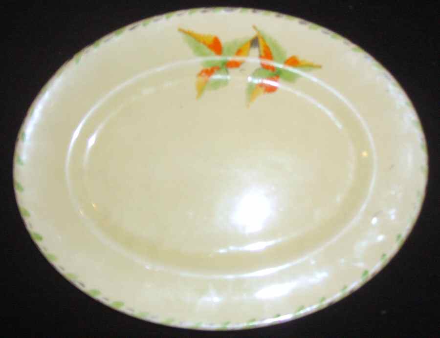 MYO141 Dinner Plate by Myott Staffordshire-1
