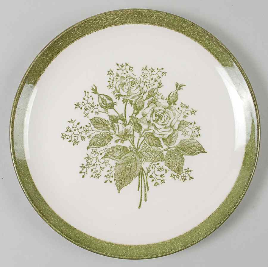 MTC110 Dinner Plate by Mount Clemens-1