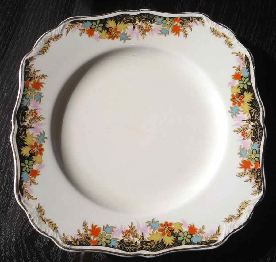 Royal Dinner Plate by J & G Meakin-1