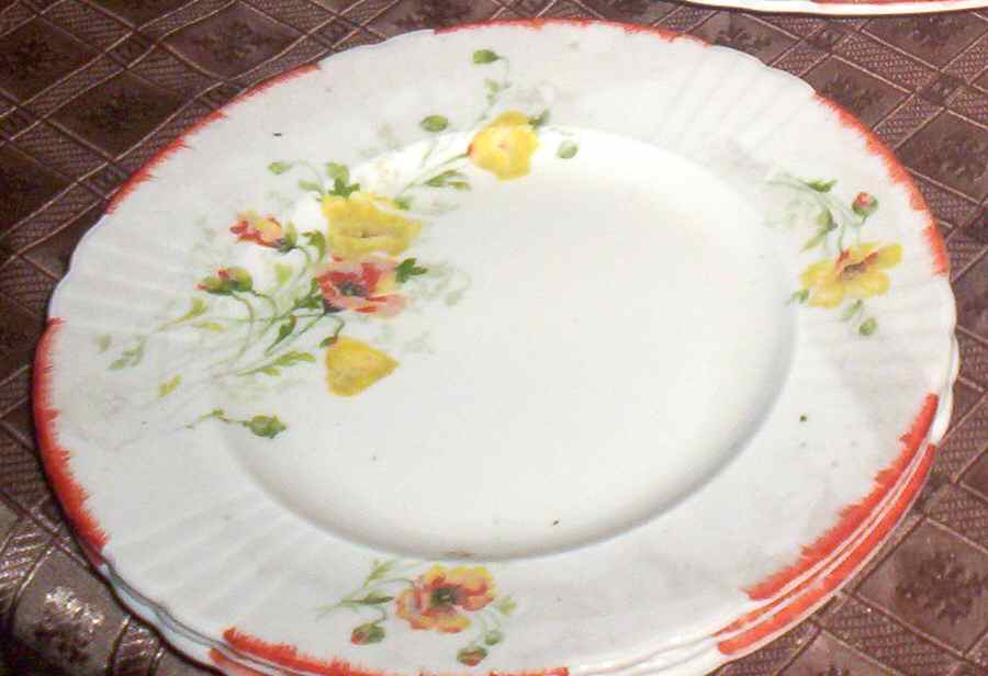 8018 Dinner Plate by Myott Staffordshire-1