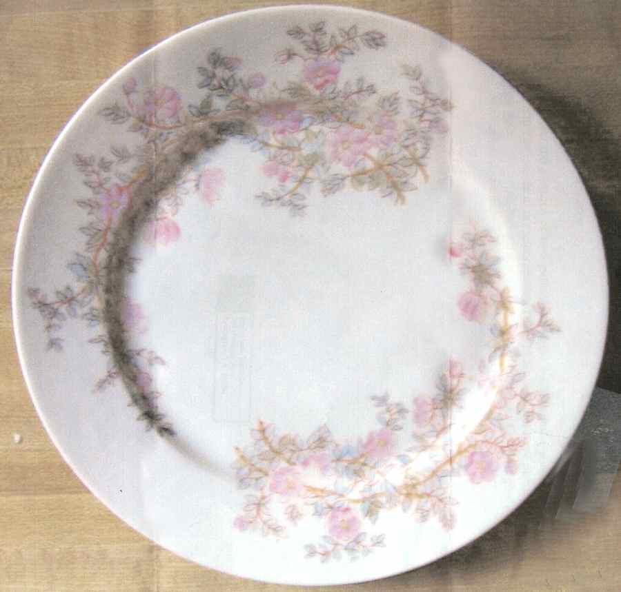 1831 Dinner Plate by Marx & Gutherz-1