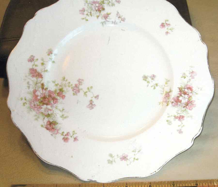 MAD230 Dinner Plate by John Maddock & Sons-1