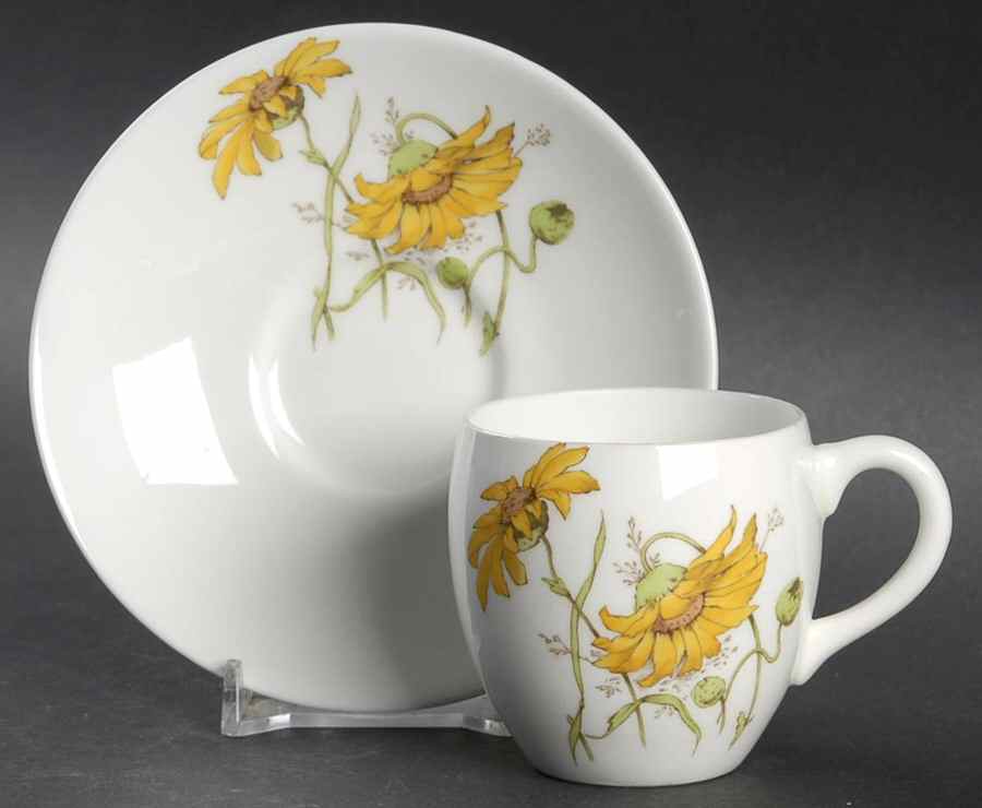B1329 Flat Demitasse Cup & Saucer Set by Minton-1