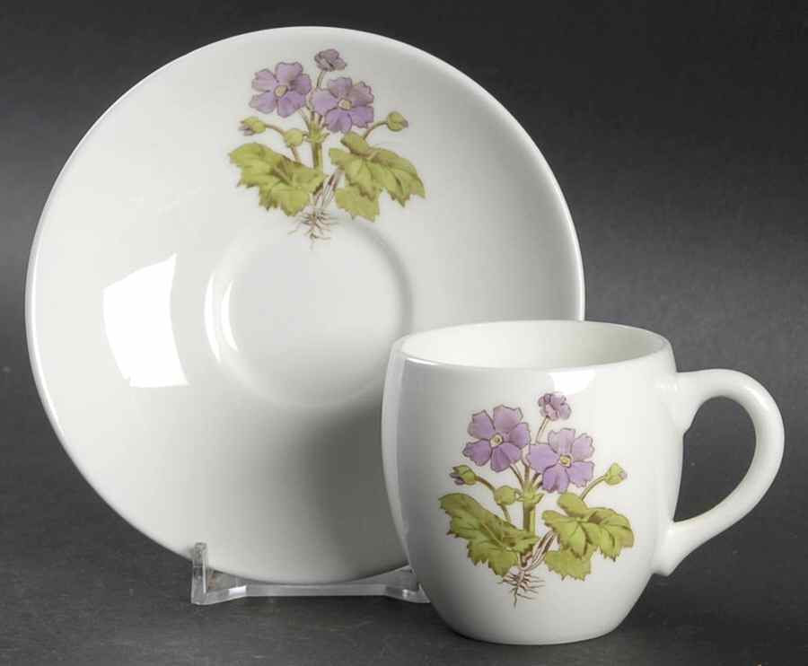 B1329 Flat Demitasse Cup & Saucer Set by Minton-1