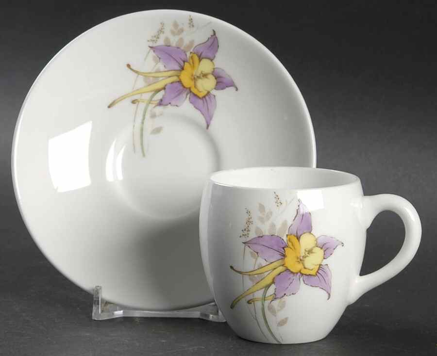 B1329 Flat Demitasse Cup & Saucer Set by Minton-1