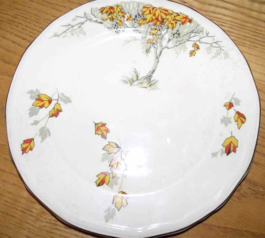 MEA342 Dinner Plate by Alfred Meakin-1