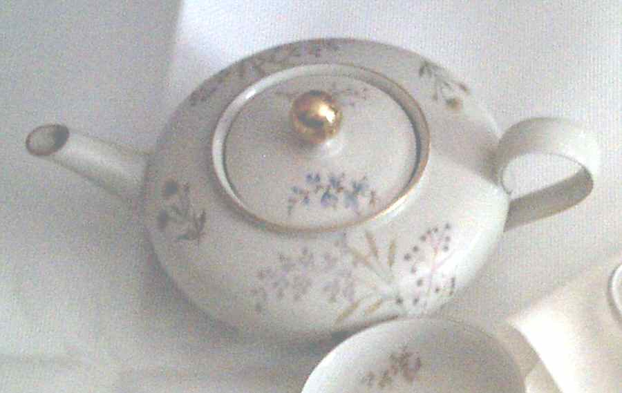 22750 Teapot & Lid by Mitterteich-1
