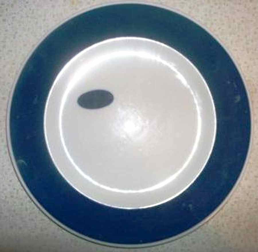 MYR61 Dinner Plate by Mayer (American)-1