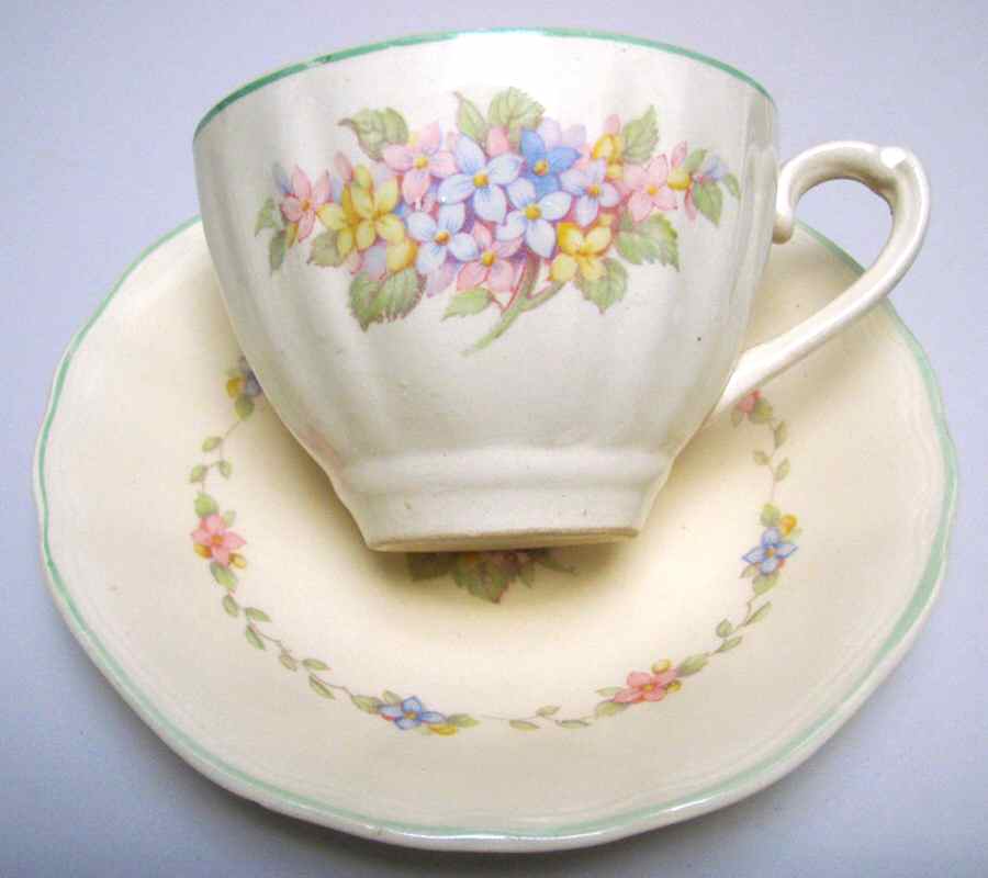 Hydrangea (Glamour) Flat Cup & Saucer Set by J & G Meakin-1