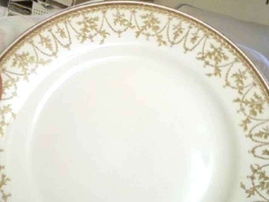 MEK304 Dinner Plate by J & G Meakin-1