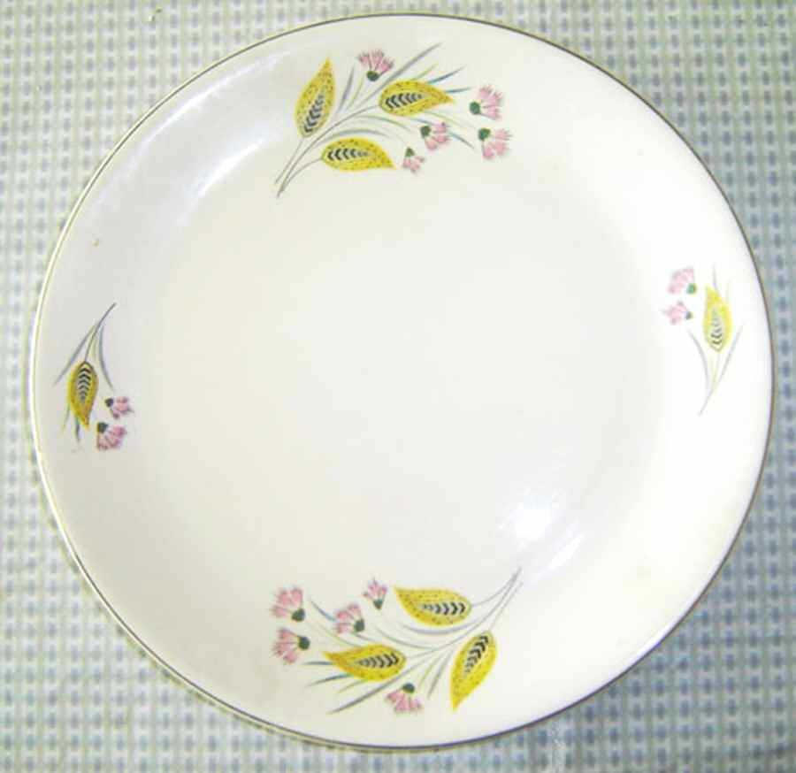 MEA344 Dinner Plate by Alfred Meakin-1